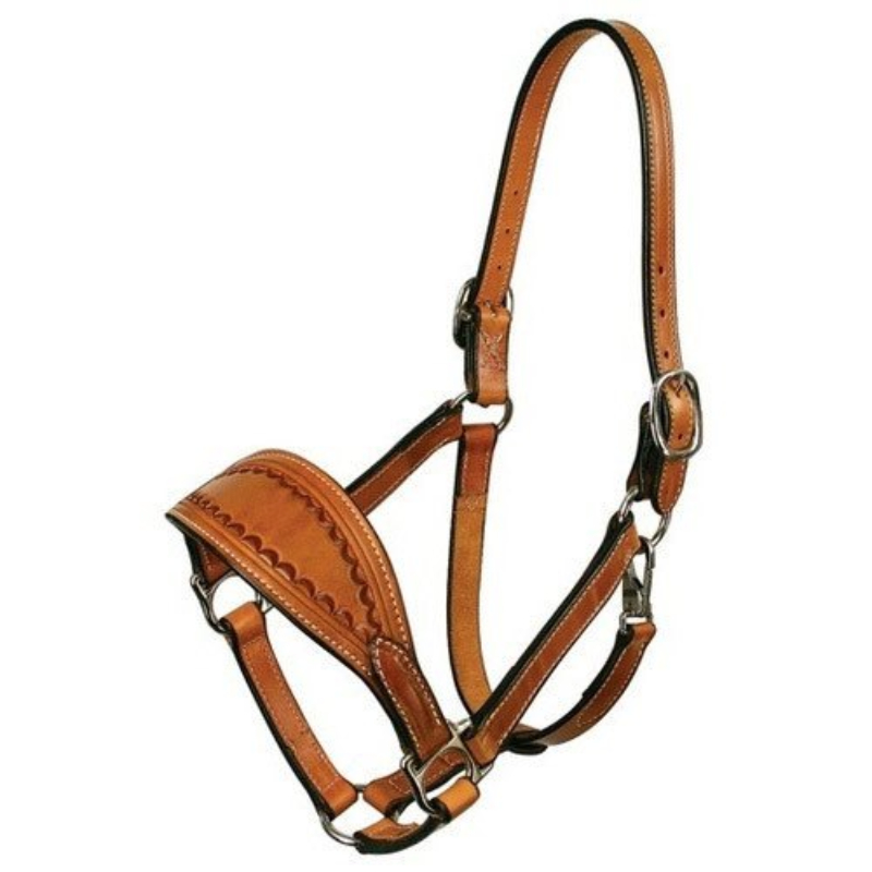 Horse Leather Halter Manufacturers, Custom Horse Leather Halters